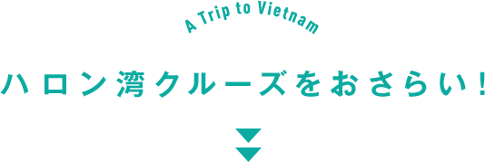 ハロン湾クルーズをおさらい！