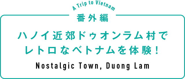 番外編 ハノイ近郊ドゥオンラム村でレトロなベトナムを体験！ Nostalgic Town, Duong Lam